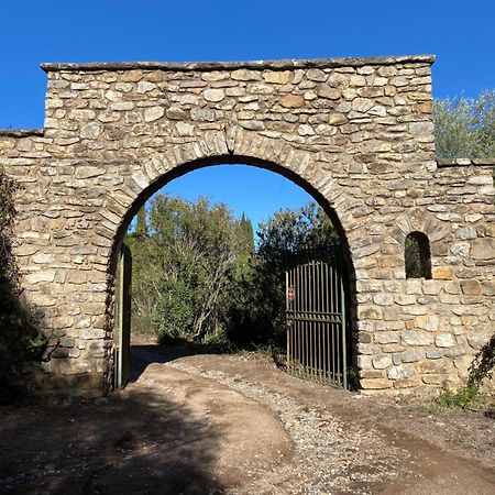 Les Gites D'Ostriconi - Villa Ogliastro Palasca  Екстер'єр фото