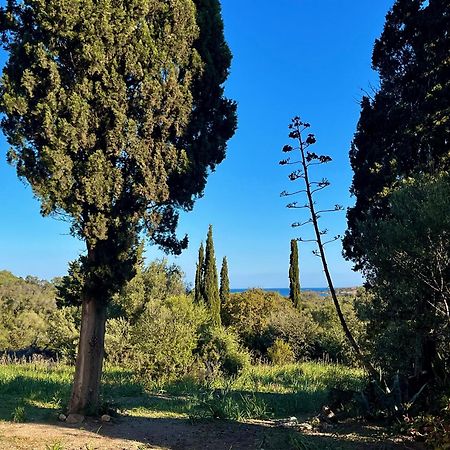 Les Gites D'Ostriconi - Villa Ogliastro Palasca  Екстер'єр фото