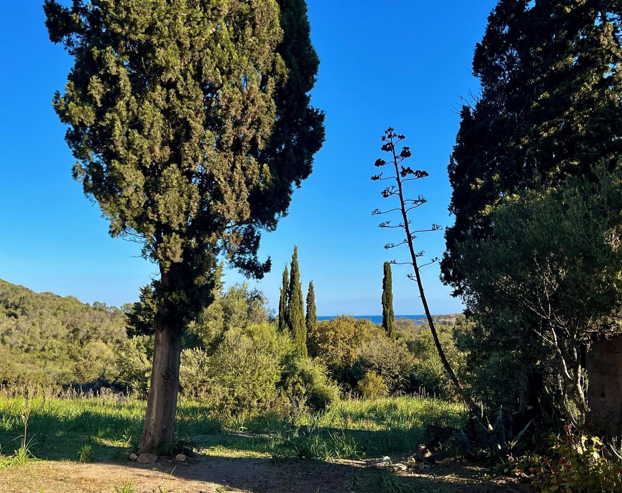 Les Gites D'Ostriconi - Villa Ogliastro Palasca  Екстер'єр фото