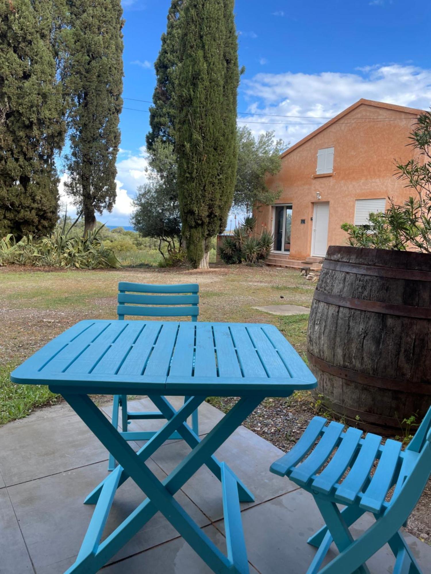 Les Gites D'Ostriconi - Villa Ogliastro Palasca  Екстер'єр фото
